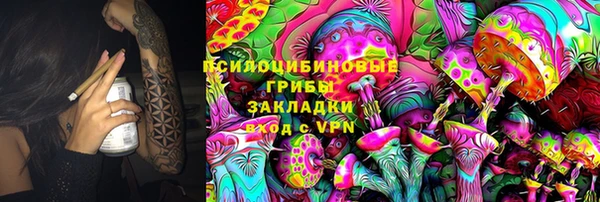 a pvp Алексеевка
