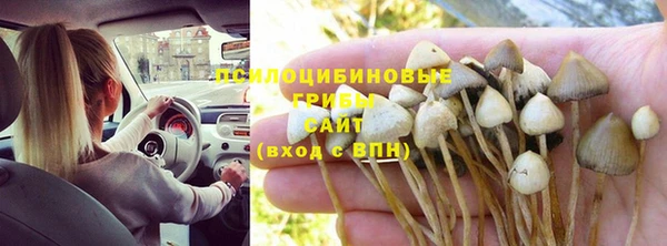 a pvp Алексеевка