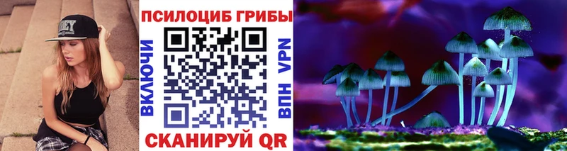 МЕГА ссылка цены Сунжа Псилоцибиновые грибы GOLDEN TEACHER